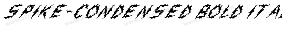 Spike-Condensed Bold Italic字体转换
